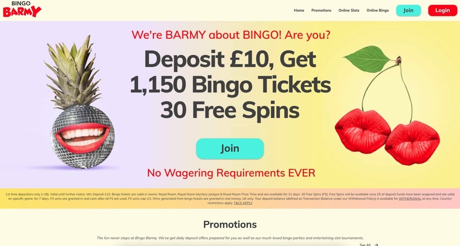 Bingo Barmy screenshot