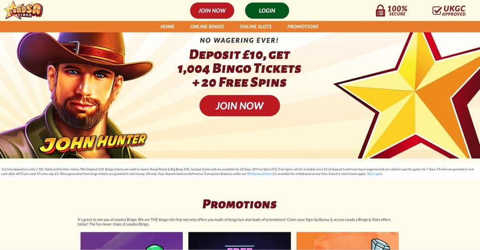 Loadsa Bingo screenshot