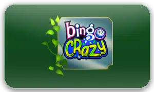 Bingo Crazy logo