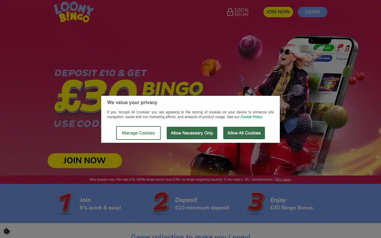 Loony Bingo screenshot 2026