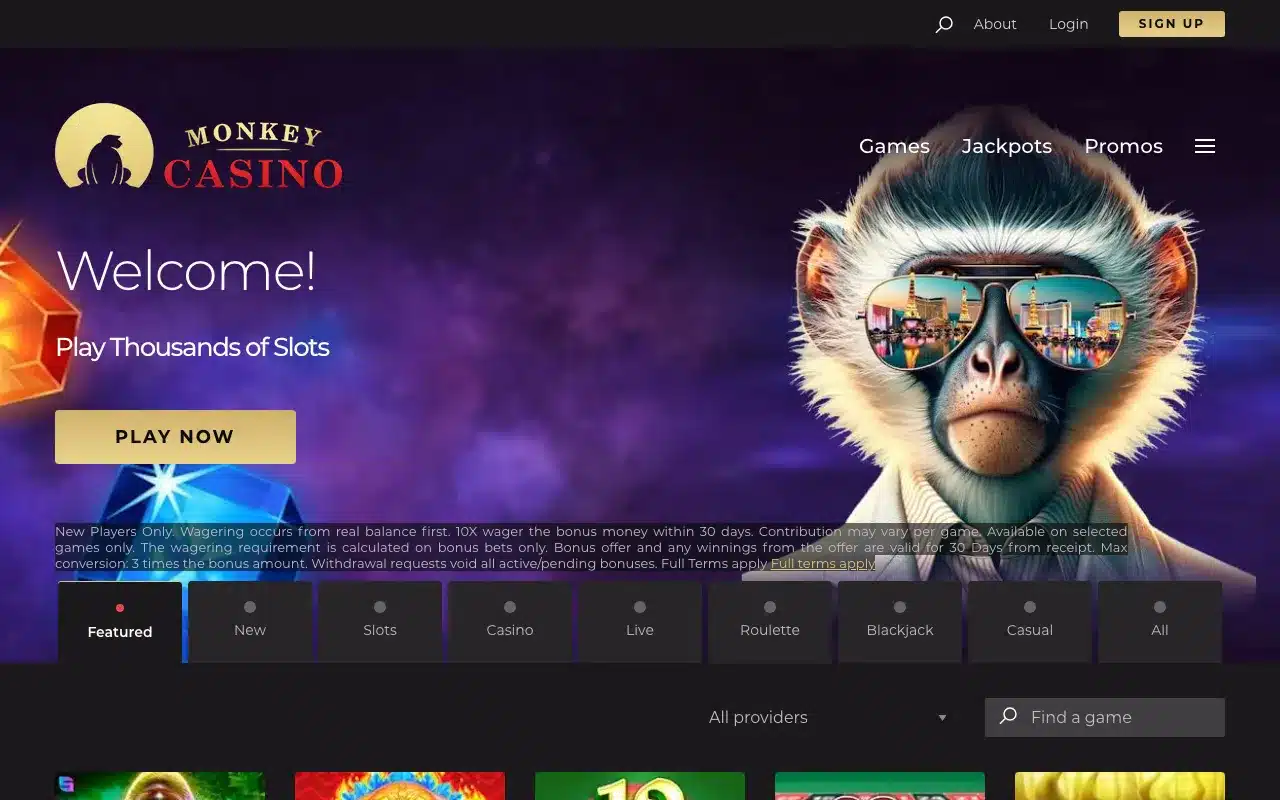 Monkey Casino screenshot 2026