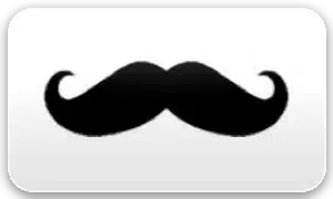 Mr Play logo