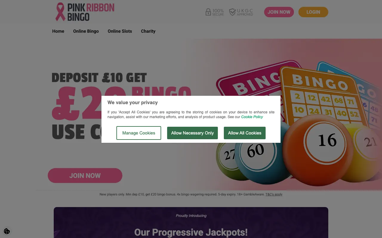 Pink Ribbon Bingo screenshot 2026