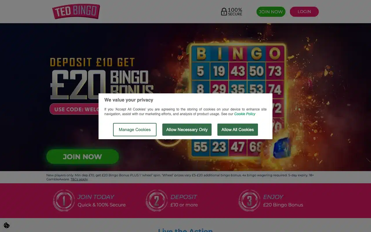 Ted Bingo screenshot 2026