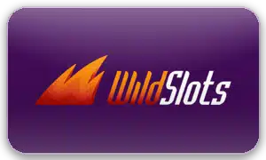 Wild Slots