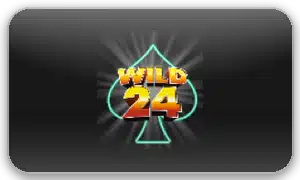 Wild24 logo