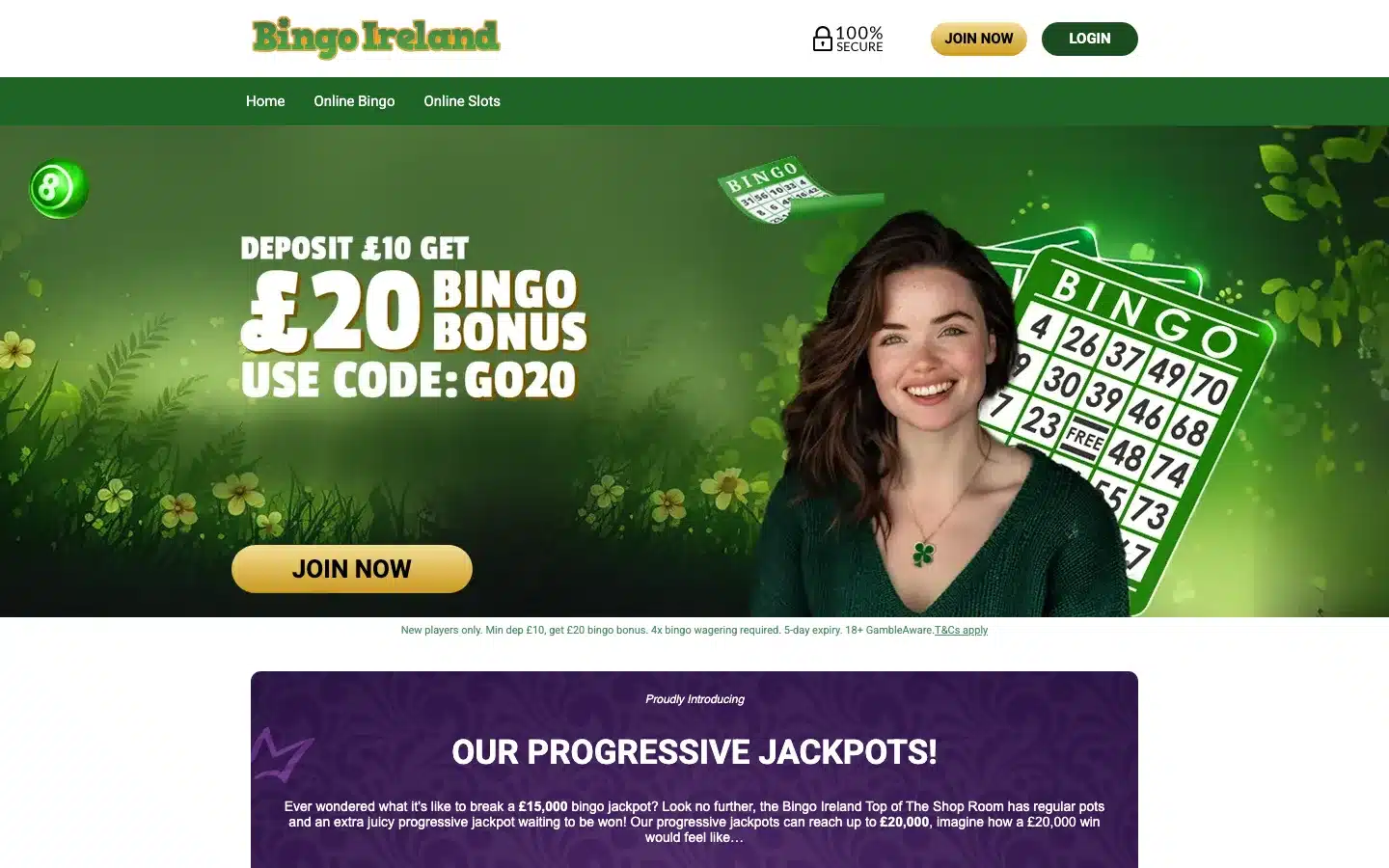 Bingo Ireland screenshot 2026