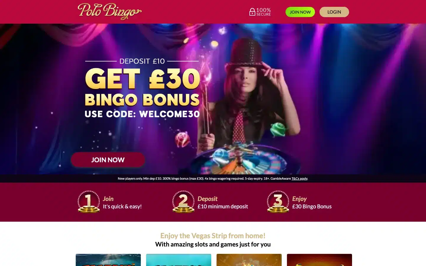 Polo Bingo screenshot 2026