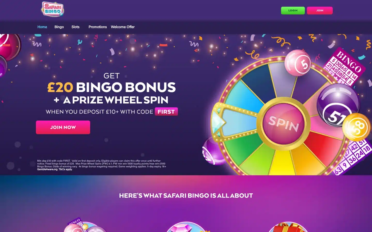 Safari Bingo screenshot 2026